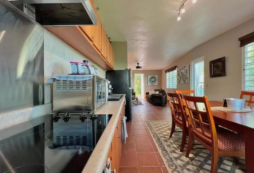 پانسیون Pancho S Paradise   Rainforest Guesthouse With Pool, Gazebo And View