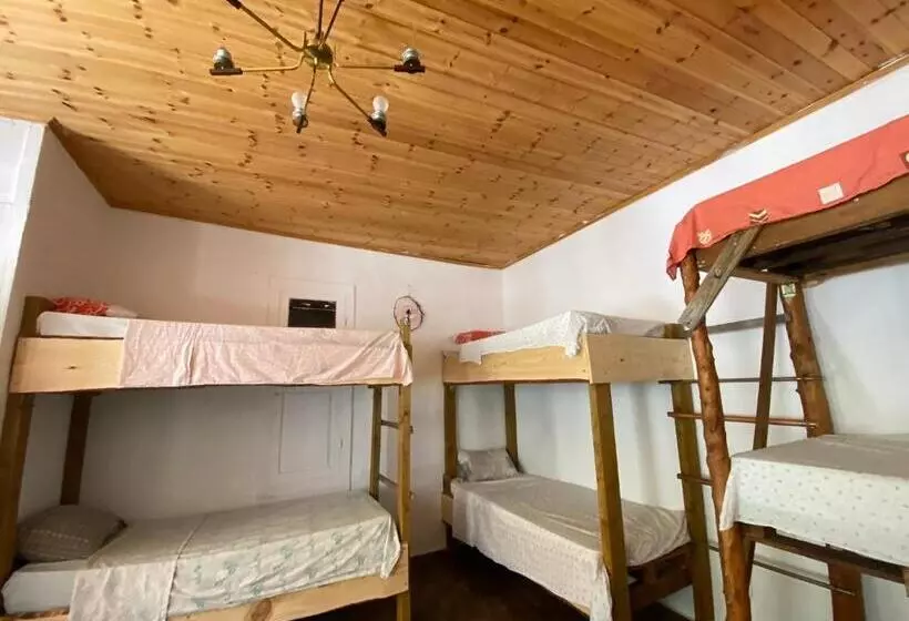 Shotgun Hostel & Guesthouse