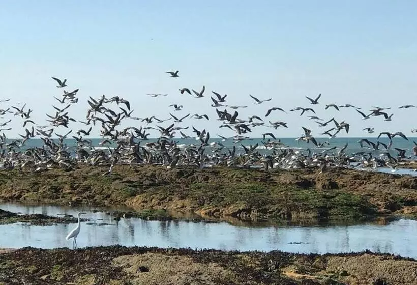 Aamiaismajoitus (B&B) L Atypique