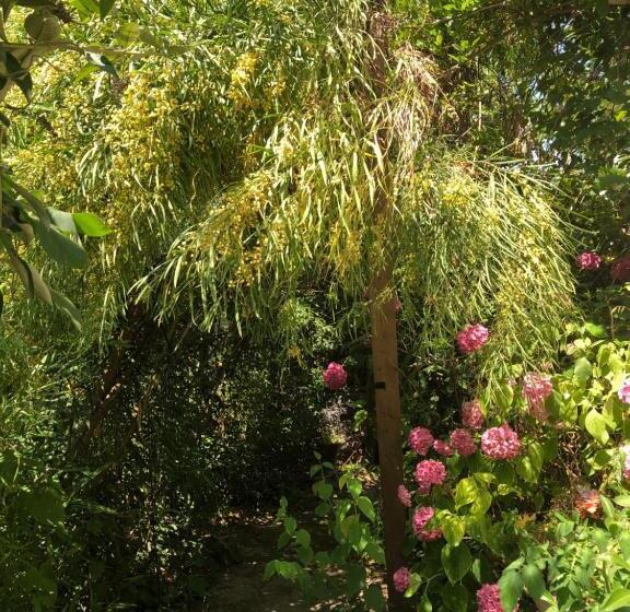 مبيت وإفطار L Atypique