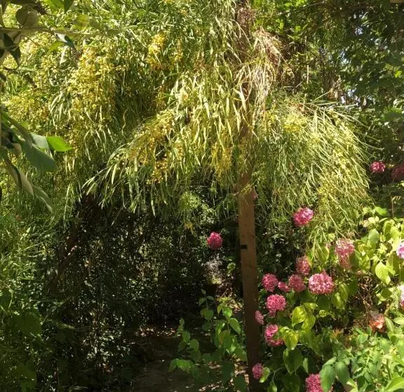 Aamiaismajoitus (B&B) L Atypique