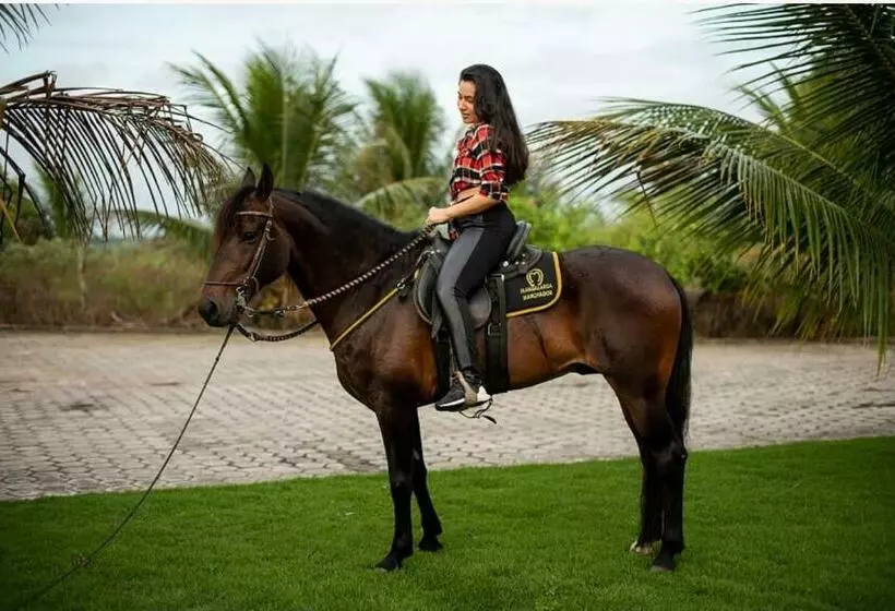 ホテル Fazenda Alto Alegre