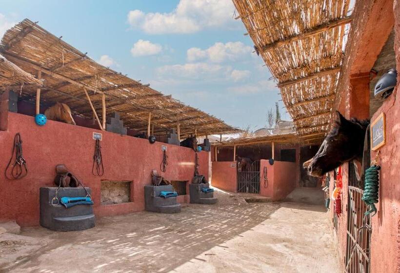 هتل La Fattoria Ecolodge