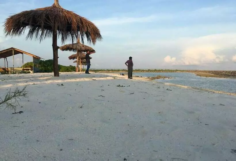 پانسیون Mikado Surf Camp