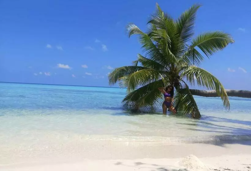پانسیون Mikado Surf Camp
