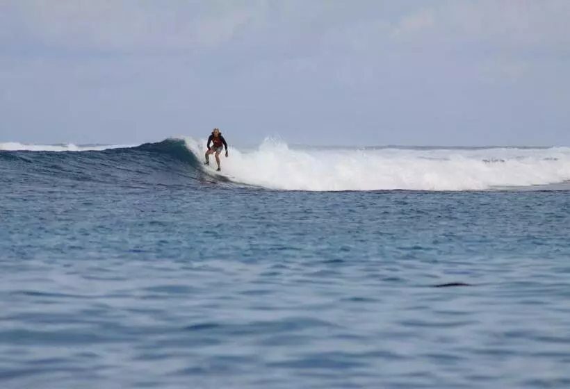 پانسیون Mikado Surf Camp
