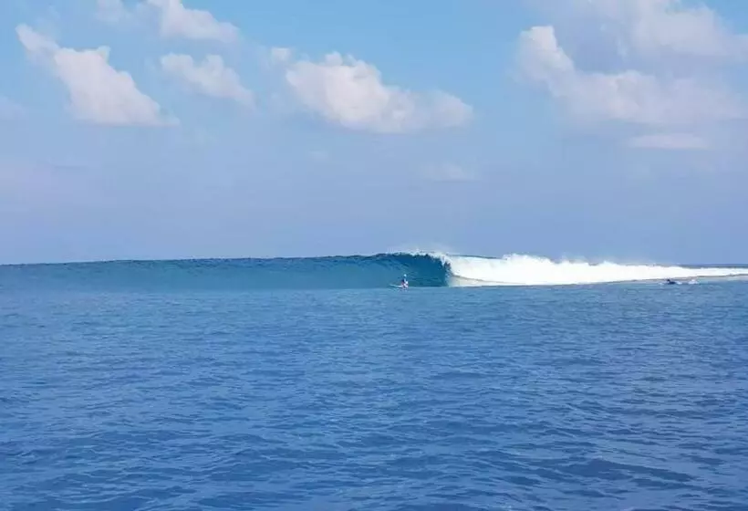 پانسیون Mikado Surf Camp