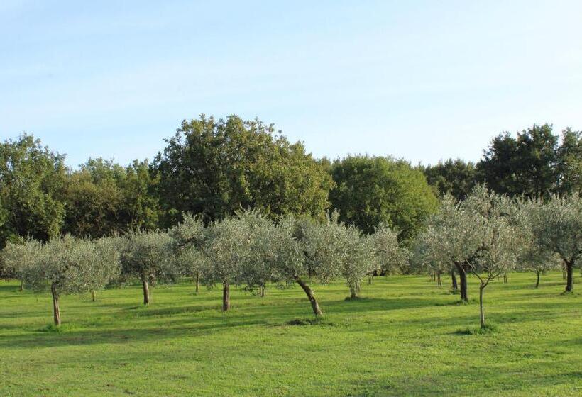 פנסיון Sibolla Holidays