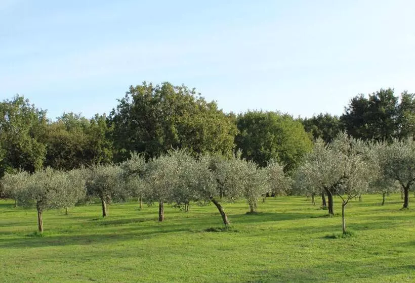 Majatalo Sibolla Holidays