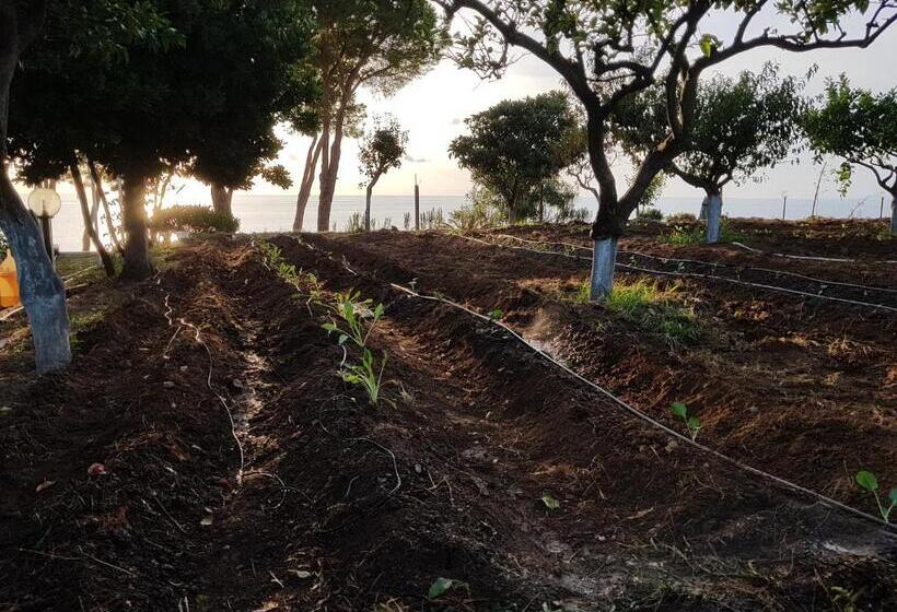 تختخواب و صبحانه Villa Elvira Hollywood Apartment