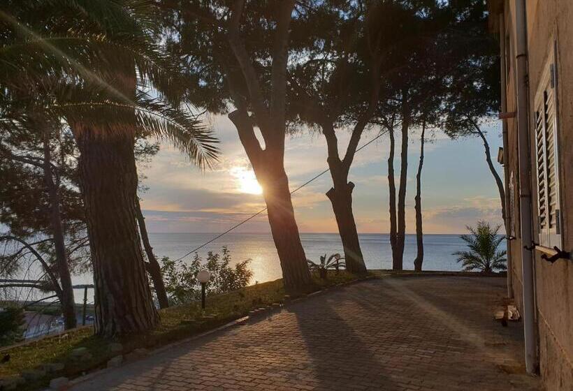 تختخواب و صبحانه Villa Elvira Hollywood Apartment