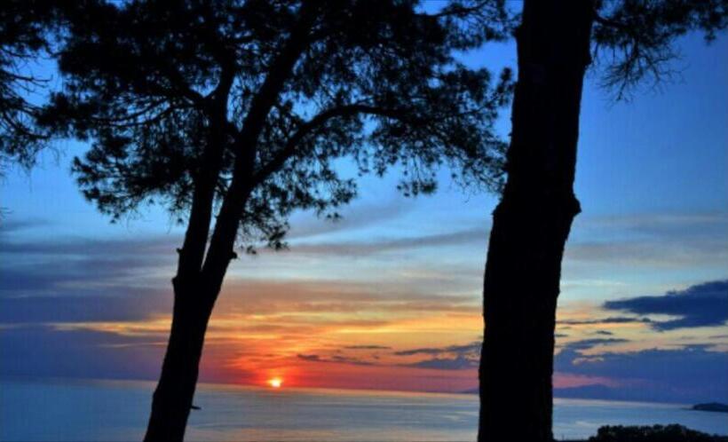 تختخواب و صبحانه Villa Elvira Hollywood Apartment