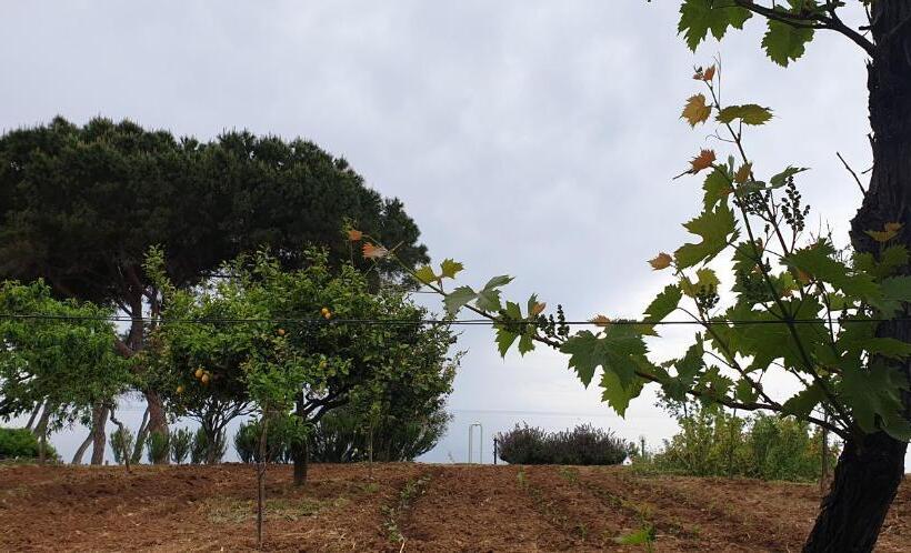 تختخواب و صبحانه Villa Elvira Hollywood Apartment