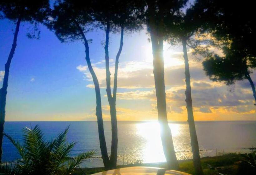 تختخواب و صبحانه Villa Elvira Hollywood Apartment