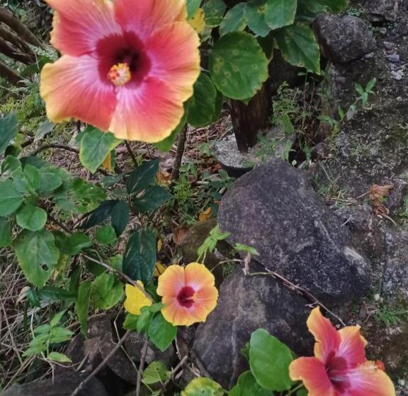 فندق Mango Garden Cottages