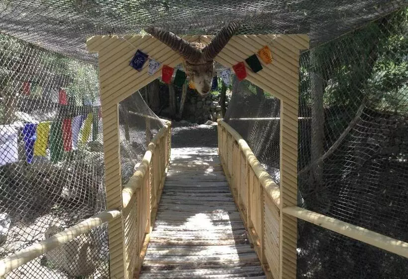 Namra Hotel And Camps   Temisgam