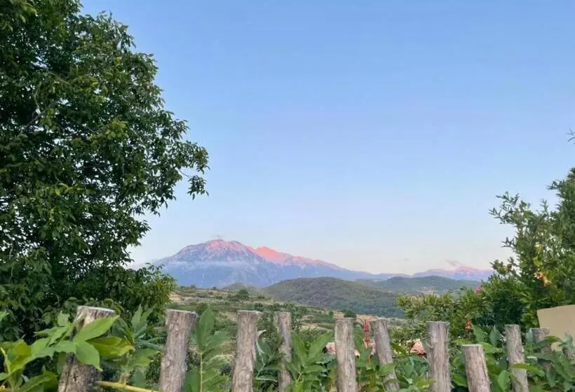 ペンション Alpeta Agrotourism & Winery   Roshnik , Berat