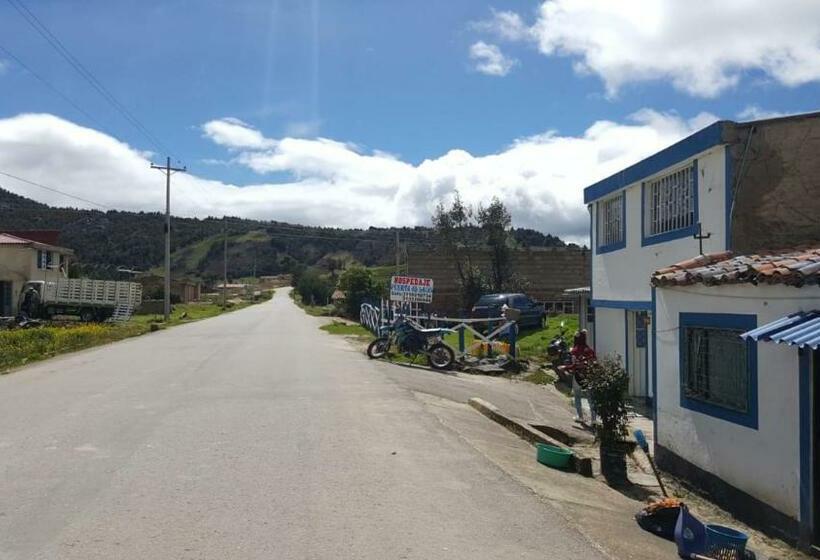 Общежитие Hospedaje Puerta Al Lago