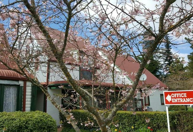 호스텔 Smylies Accommodation