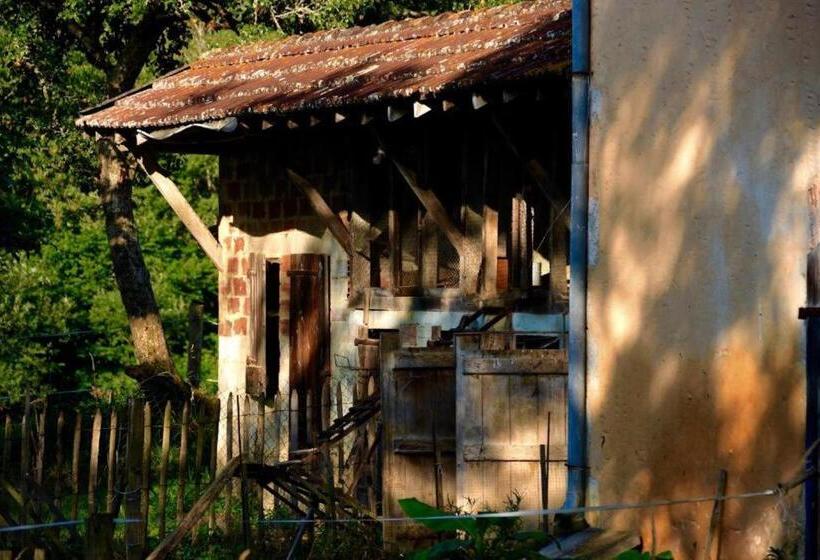 Bed and Breakfast Souslens