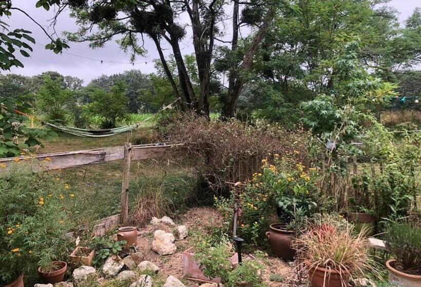 Bed and Breakfast Souslens