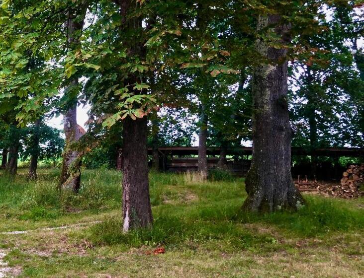 Bed and Breakfast Souslens