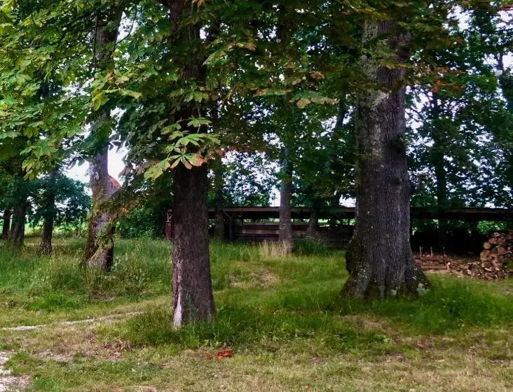 Aamiaismajoitus (B&B) Souslens