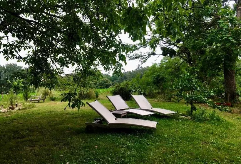 Aamiaismajoitus (B&B) Souslens