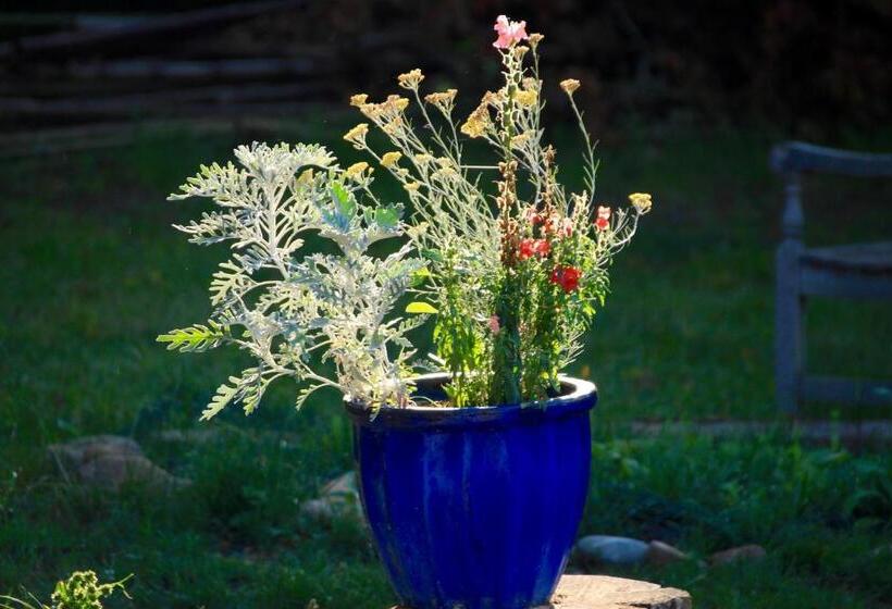 Bed and Breakfast Souslens