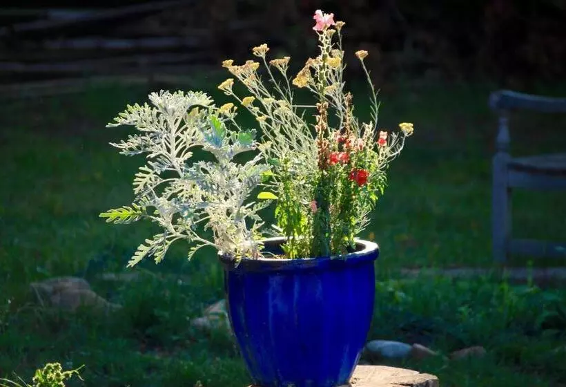 Aamiaismajoitus (B&B) Souslens