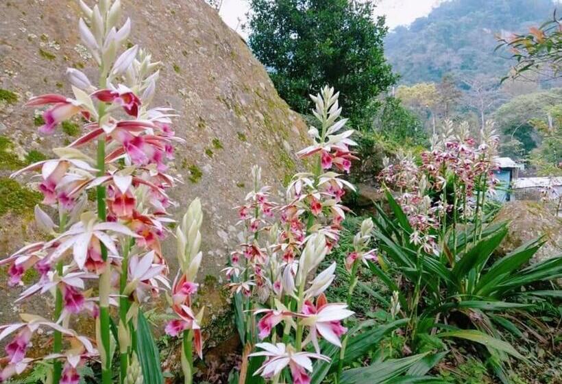 تختخواب و صبحانه Star Coffee & Homestay