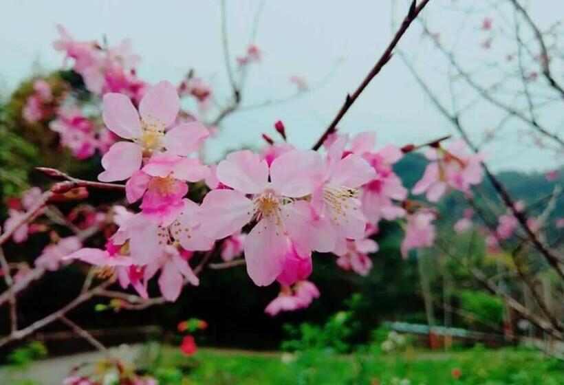 تختخواب و صبحانه Star Coffee & Homestay