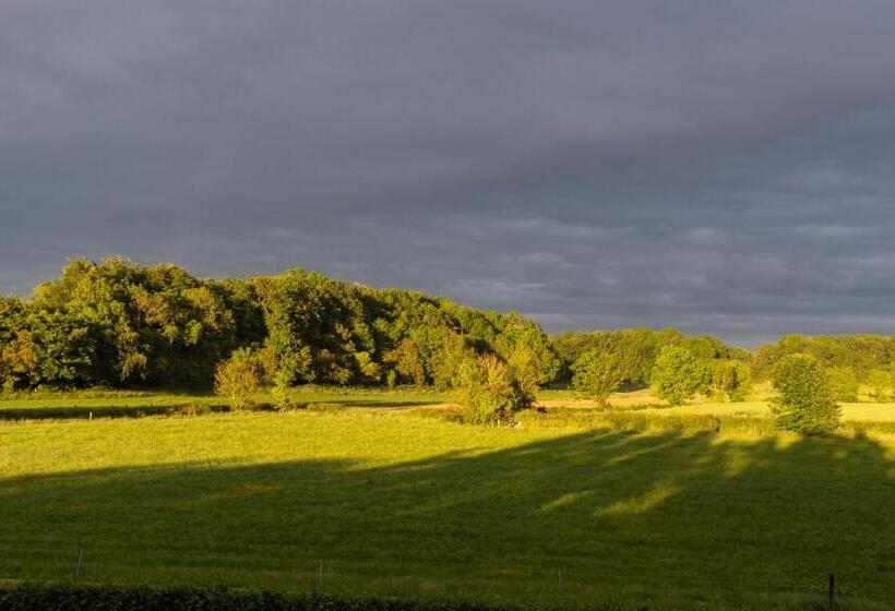 住宿加早餐 Woodview Lodge