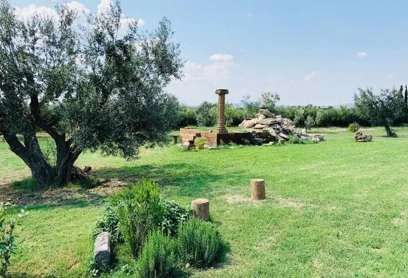ホテル Resort Fonte Vulci