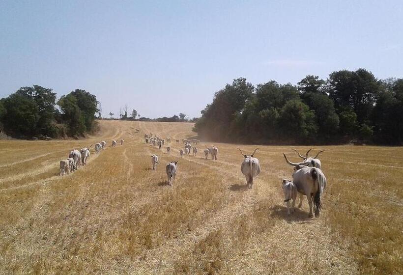 Отель Resort Fonte Vulci