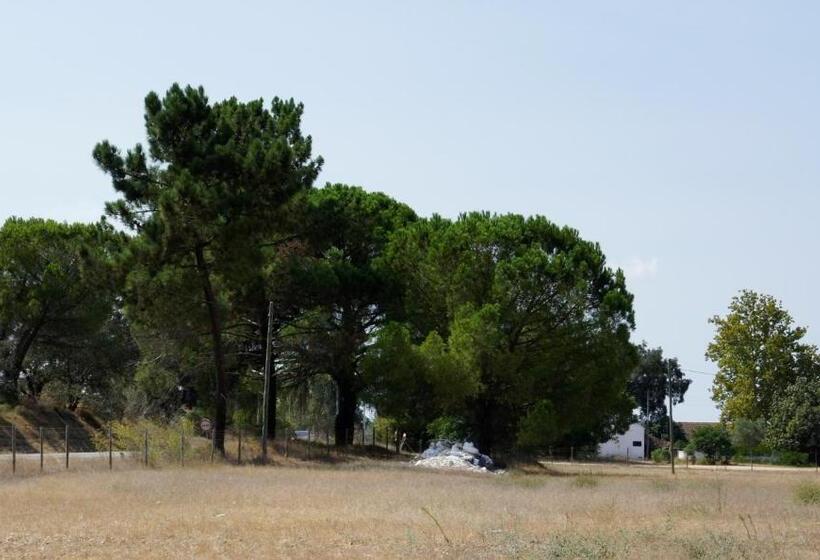 بنسيون Dom Couço