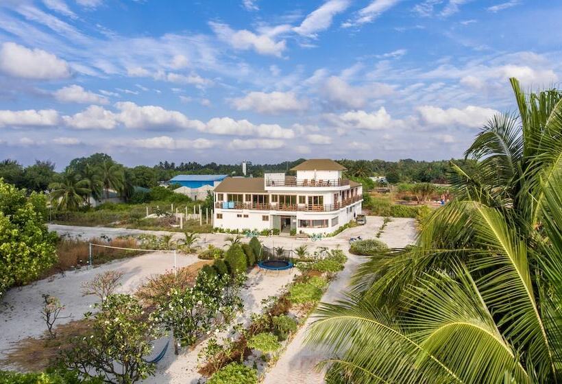 پانسیون Olive Goidhoo