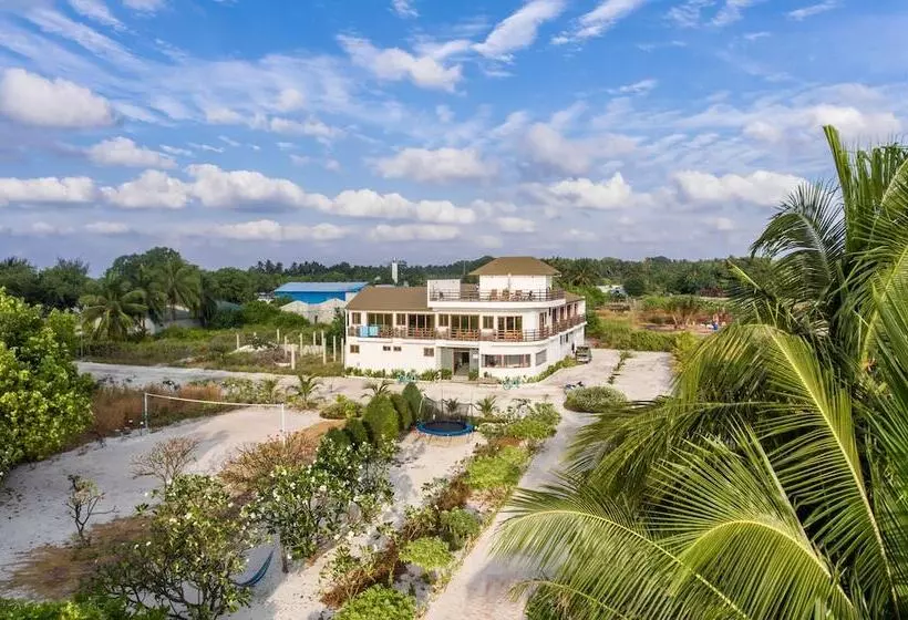 پانسیون Olive Goidhoo