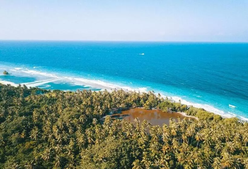 پانسیون Olive Goidhoo