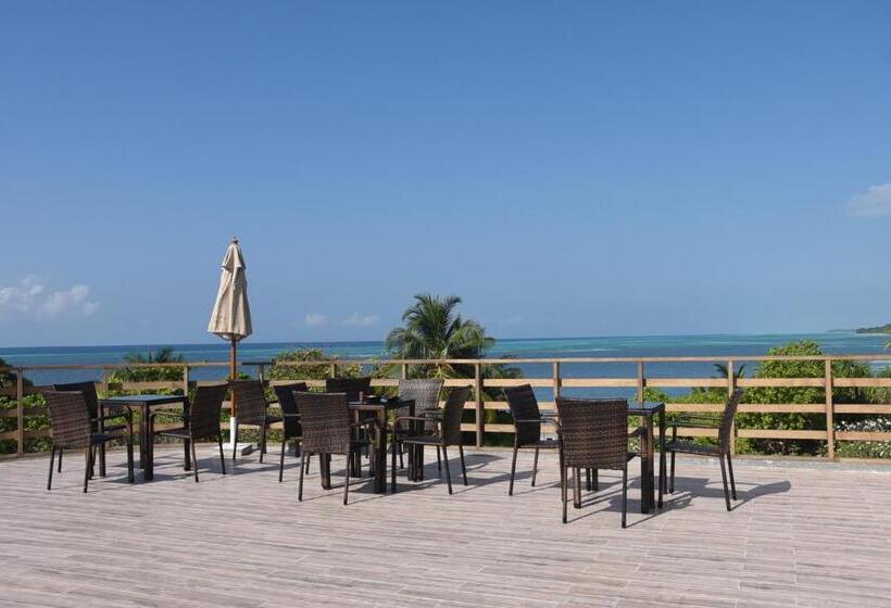 پانسیون Olive Goidhoo