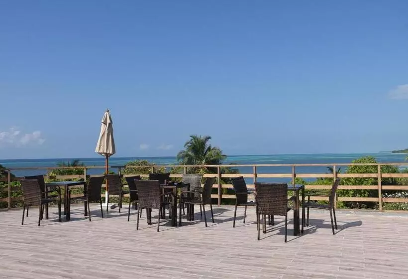 پانسیون Olive Goidhoo