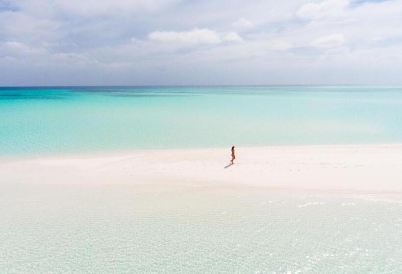 پانسیون Olive Goidhoo