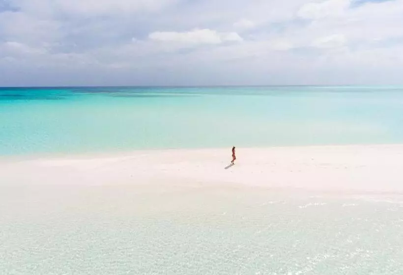 پانسیون Olive Goidhoo