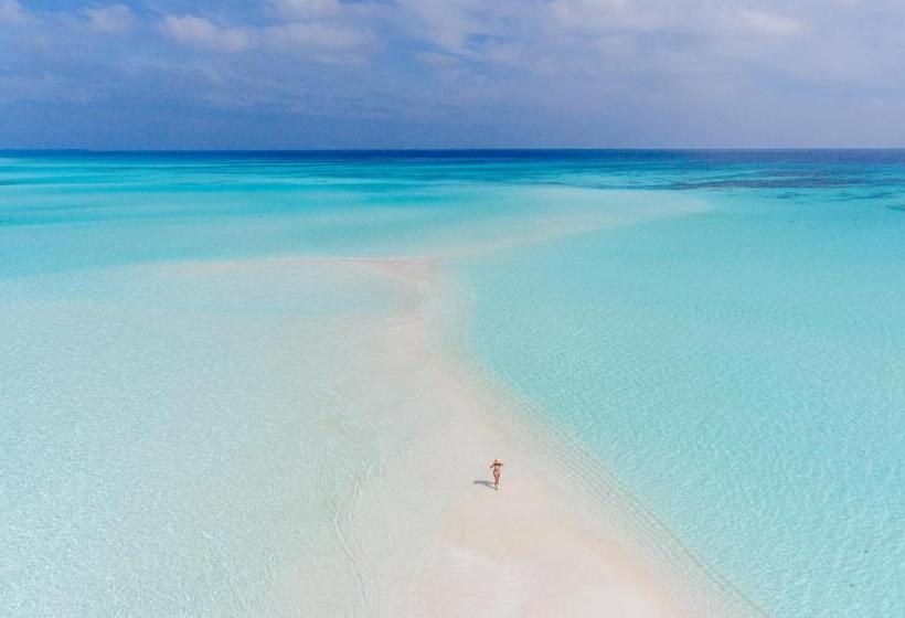 پانسیون Olive Goidhoo