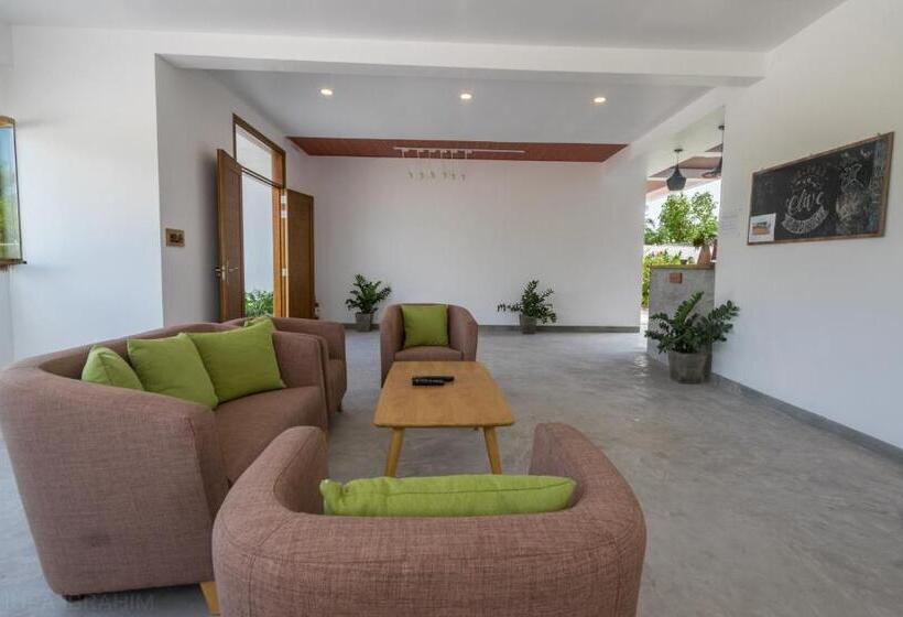 پانسیون Olive Goidhoo