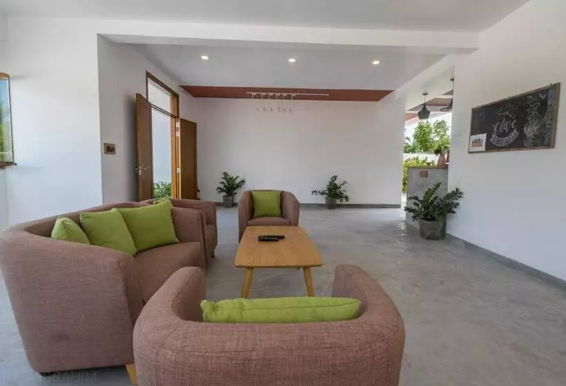 پانسیون Olive Goidhoo