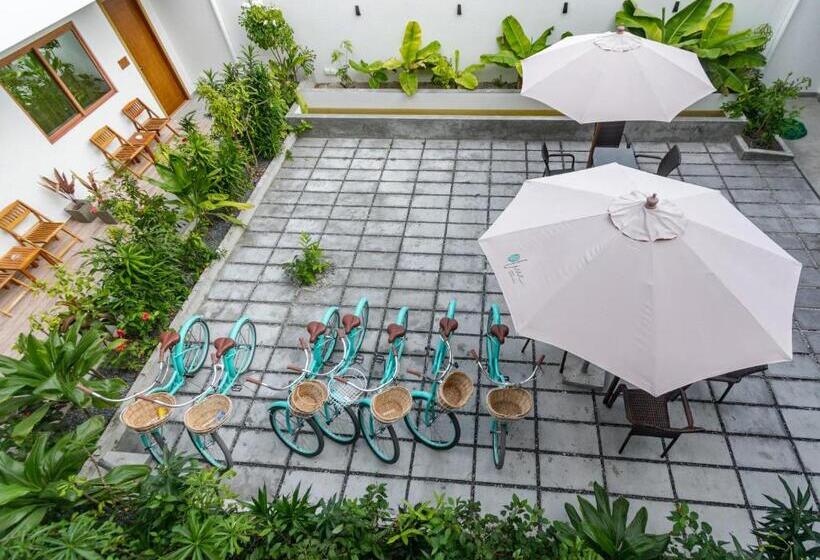 پانسیون Olive Goidhoo