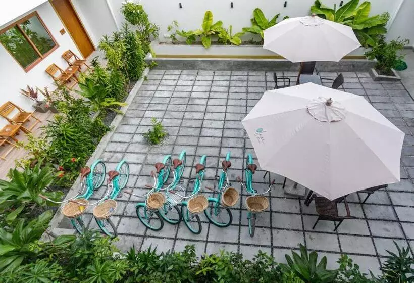 پانسیون Olive Goidhoo