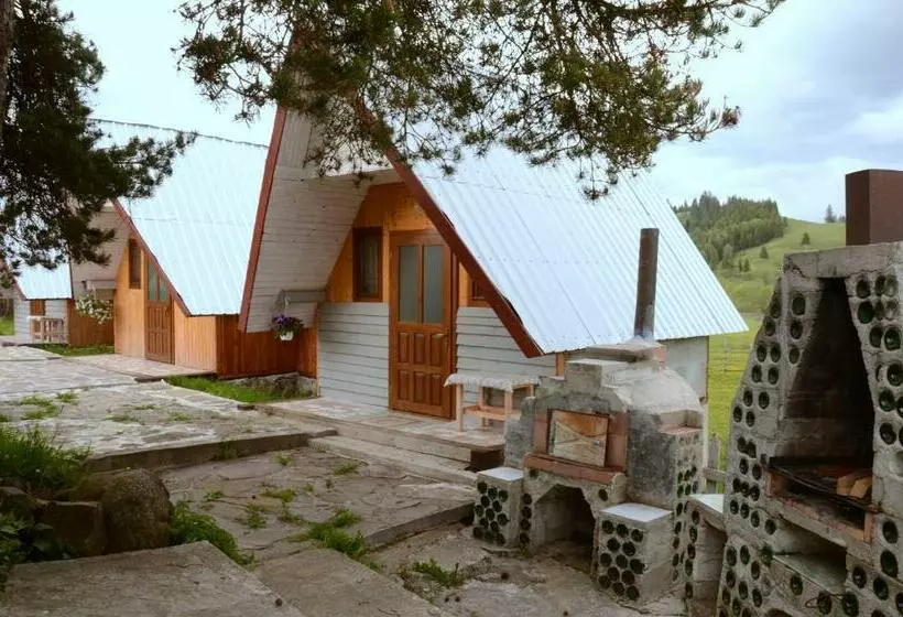 ユースホステル Casa Florea