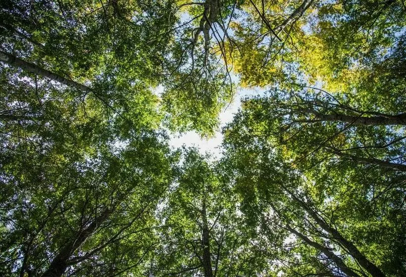 Retkeilymaja Refugio Ruka Cümelen